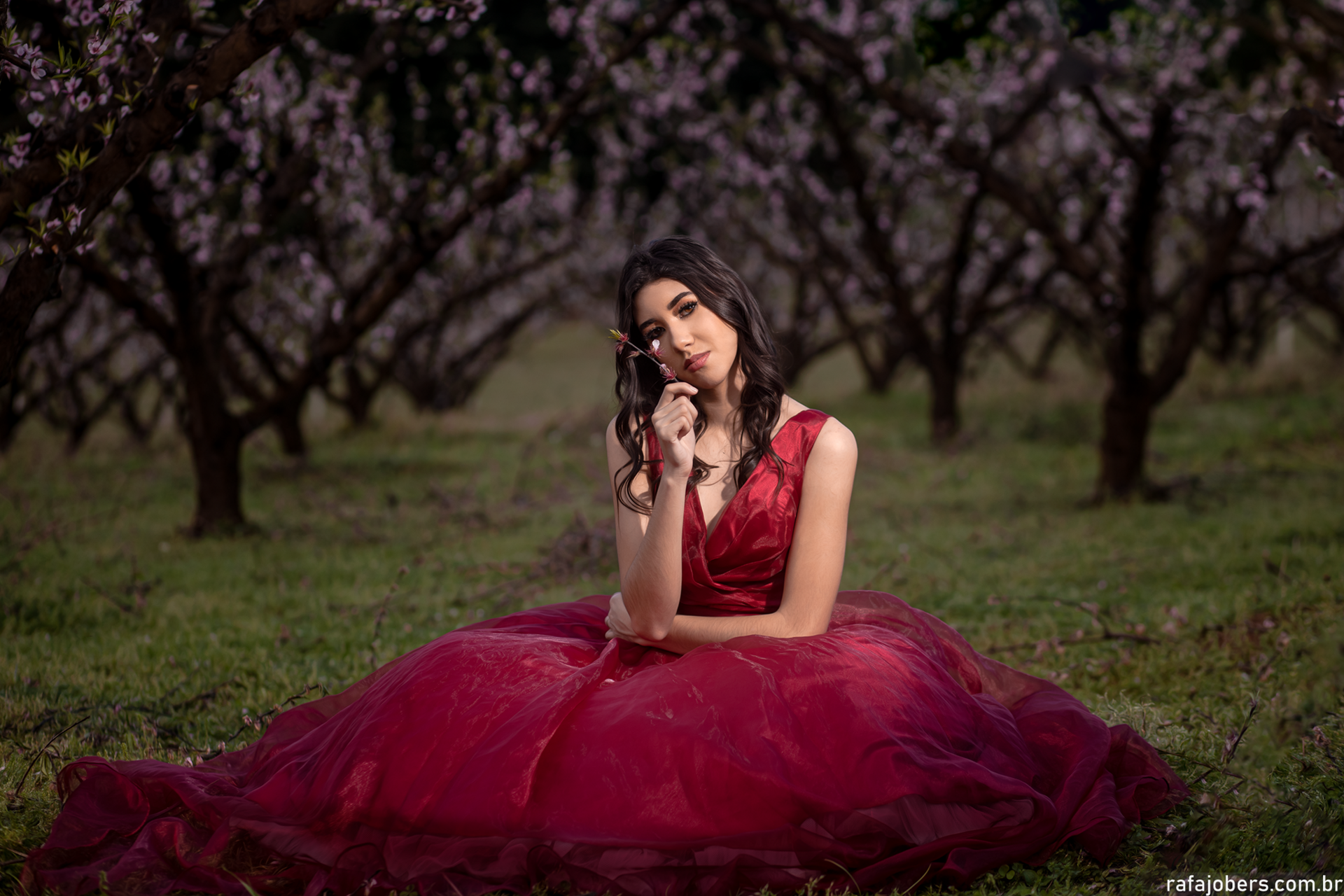 Ensaio de 15 anos de Emanueli Lima na adega Dom Camilo em Nova Pádua RS